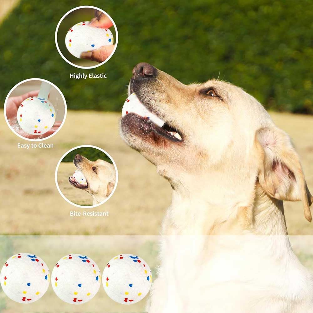 Automatic Dog Ball Launcher