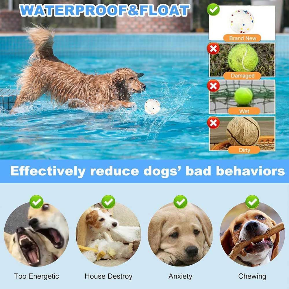 Automatic Dog Ball Launcher