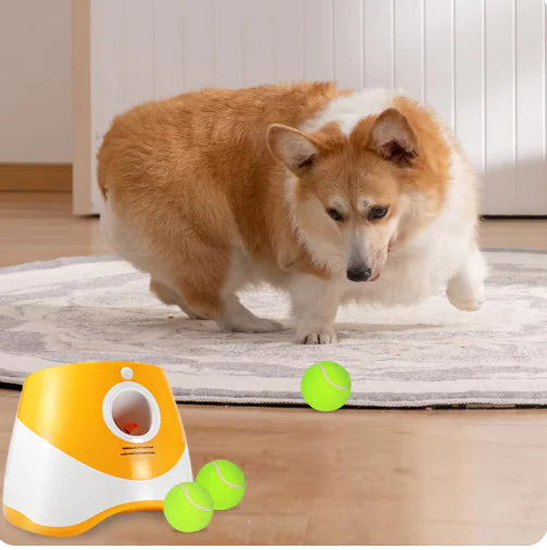 FetchPal Auto Ball Tosser